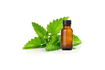 Pure Essential Oil( Patchouli)