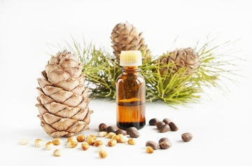 Pure Essential oil (Cedarwood)