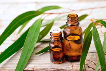 Pure Essential Oil(Eucalyptus)