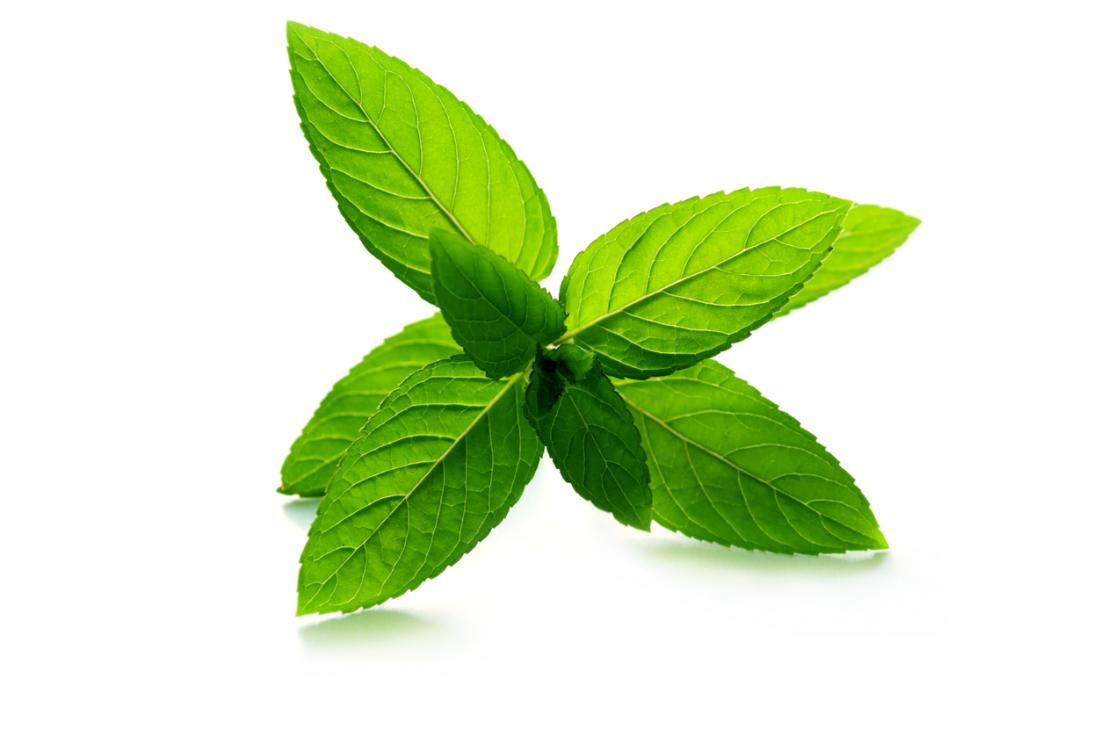Fragrance oil for Body, Soap, Candle, lotion, Body butter &. Diffuser(Peppermint)