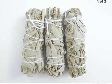 Spiritual(White sage 6”)