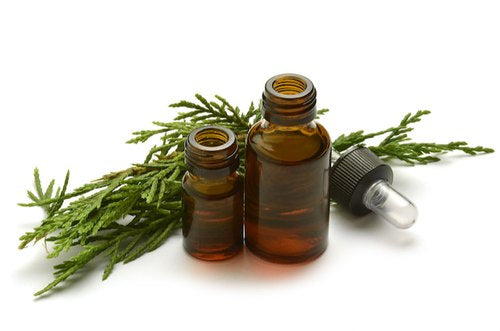 Pure Essential oil (Cypress)