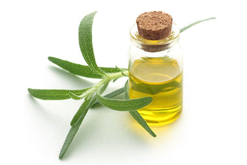 Pure Essential oil ( Rosemary)