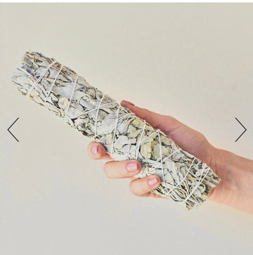 Spiritual(White sage 9”)