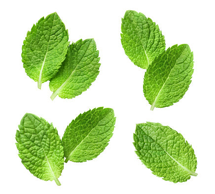 Fragrance oil for Body, Soap, Candle, lotion, Body butter &. Diffuser(Mint)
