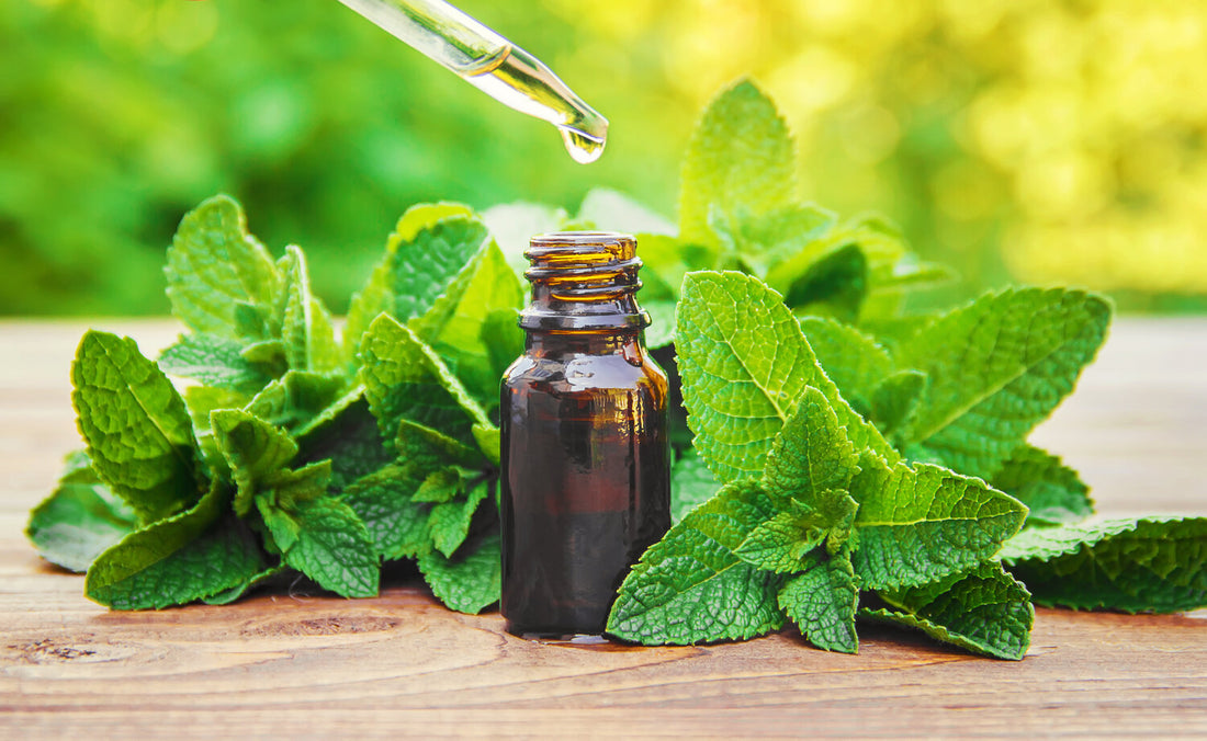 Pure Essential Oil(Peppermint)