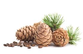 Fragrance oil for Body, Soap, Candle, lotion, Body butter &. Diffuser(Cederwood)