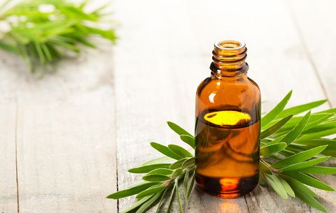 Pure Essential oil (Tea tree)