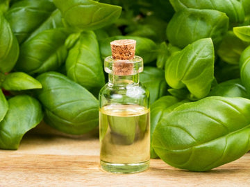 Pure Essential Oil(Basil)