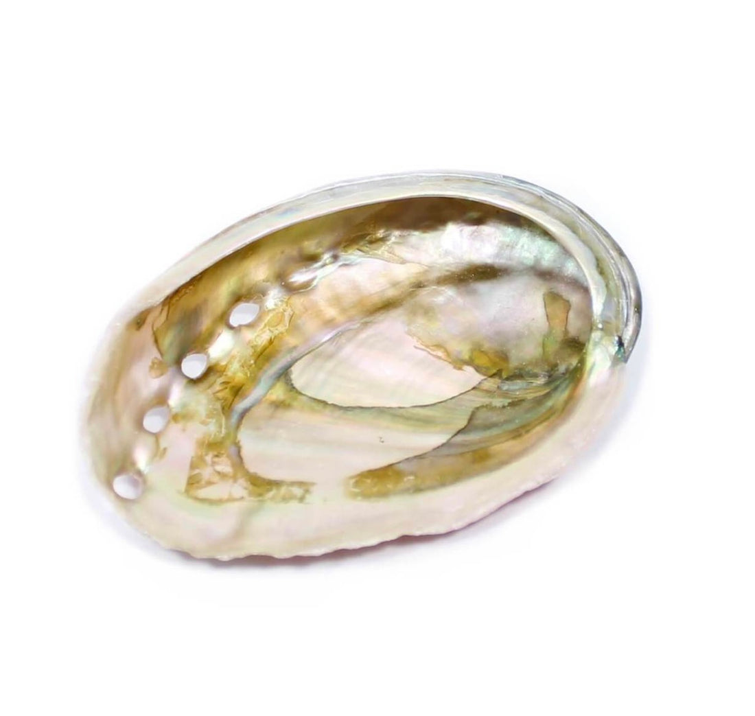 Spiritual(Abalone shell 3-4”)